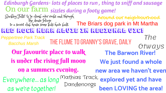 Entrants were asked to share their favourite dog walks in Victoria.